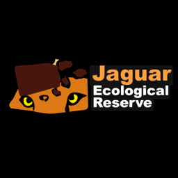 Jaguar Ecologial Reserve Manu