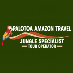 Palotoa Amazon Travel Manu
