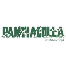 Pantiacolla Lodges Manu