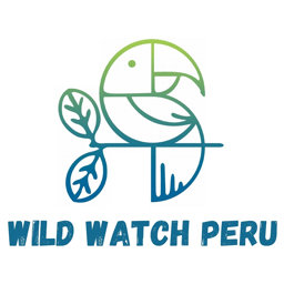 Wild Watch Peru Manu
